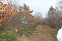 Parcela na mirnoj lokaciji