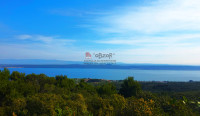 Pašman-DOROPOLJANA, poljoprivredno zemljište 2682m2