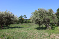PRILIKA - Pavićini, građevinska parcela 1.200 m2,