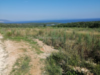Pavićini - poljoprivredno zemljište