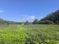 PAZIN - GRAĐEVINSKO ZEMLJIŠTE PROIZVOFNO POSLOVNE NAMJENE