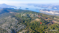 Pelješac 35.000m2 poljoprivredno