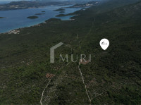PELJEŠAC, POPOVA LUKA - Poljoprivredno zemljište 7.937m²