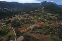 PELJEŠAC, ZEMLJIŠTA 26750 m2
