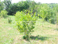 Perjavica, Perjavica, 5.328,00 m2, 850.000,00 EUR