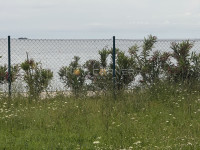 Peroj – vikend parcela 440 m² na iznimnoj lokaciji, tik iznad plaže s