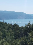 Plomin, Šimuni, građevinsko zemljište sa pogledom na more