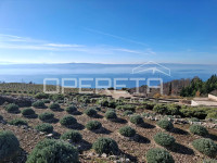 Podgora - poljoprivredno zemljište s panoramskim pogledom
