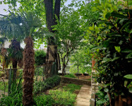 PODMURVICE, 3 S+DB u blizini centra s velikim vrtom, RIJETKOST