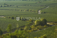 Poličnik, atraktivno građevinsko zemljište s velikim potencijalom