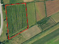 POLJOP. ZEMLJIŠTE 8.941 m² – SELNICA ŠĆITARJEVSKA, BLIZINA V. GORICE
