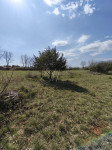 Poljoprivredna parcela 3550 m², Vodnjan