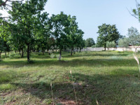 Poljoprivredna parcela, Gajana