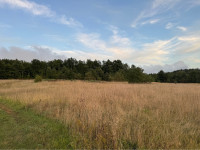 Poljoprivredna zemljišta u Gračišću, Istra