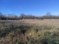 Poljoprivredni teren, lakmartin