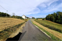 Poljoprivredno imanje sa nasadima aronije i lješnjaka