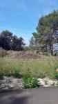 Poljoprivredno zemljište 1000 m2 na Viru, Zadar *350 m OD PLAŽE* *SNIŽ