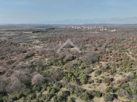 Poljoprivredno zemljište 10000m2 - Poljica Brig, Zadar