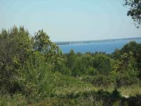Poljoprivredno zemljište 1200 m2 na Viru, Zadar *POGLED MORE*