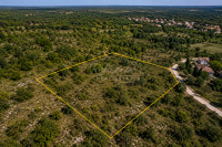 Poljoprivredno zemljište 1565m2, vinograd u Marčani