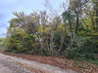 Poljoprivredno zemljište 1km od mora