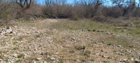 POLJOPRIVREDNO ZEMLJIŠTE, 3356m2!!
