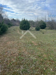 Poljoprivredno zemljište 3600m2 - Pridraga, Zadar