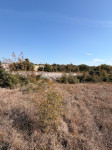 POLJOPRIVREDNO ZEMLJIŠTE 4.049 m² – PRIŽBE, CESTA PREMA JADRIJI
