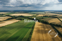 Poljoprivredno zemljište 4159 m² | Preslatinci | Investicijska prilika