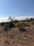 POLJOPRIVREDNO ZEMLJIŠTE 5.962 m² – PRIŽBE, CESTA PREMA JADRIJI