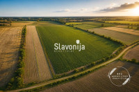Poljoprivredno zemljište 52.920 m² | Preslatinci | Investicijska prili