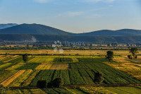 Poljoprivredno zemljište 5573 m2- Sinjsko polje