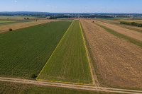POLJOPRIVREDNO ZEMLJIŠTE 8.134 m² – MALA OSTRNA, DUGO SELO