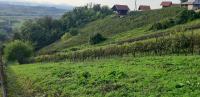 Poljoprivredno zemljište, Andraševec, 536 m2