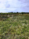 Poljoprivredno zemljište uz asfaltnu cestu
