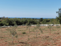 Poljoprivredno zemljište, Bale, 2400 m2,pogled more