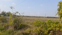 Poljoprivredno zemljište, Baranjsko Petrovo Selo, 34.523 m2