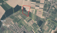 Poljoprivredno zemljište, Bilje-Vardarac, 206543 m2