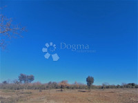 Poljoprivredno zemljište u blizini Barbarige