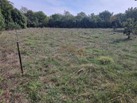 / Poljoprivredno zemljište u blizini Svetvinčenta