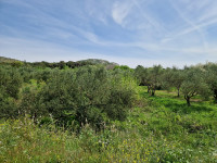 Poljoprivredno zemljište u bližoj okolici Šibenika