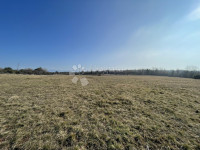 POLJOPRIVREDNO ZEMLJIŠTE BLIZU MORA SA POGLEDOM, SAVUDRIJA