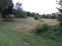 Poljoprivredno zemljište, Brestovac, 9000 m2