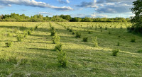 Poljoprivredno zemljište, Brežani, 23625 m2
