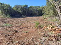 Poljoprivredno zemljište, Ćunski, 3500 m2