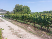 Poljoprivredno zemljište, Draževitići, 2050 m2