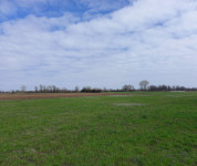 Poljoprivredno zemljište, Gaj, 4531 m2