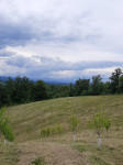 Poljoprivredno zemljište, Gornji Skrad, 450000 m2