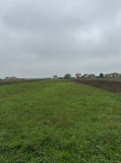 Poljoprivredno zemljište, Gradići, 2036 m2