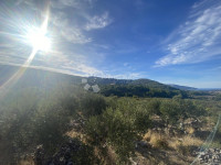 Poljoprivredno zemljište na Hvaru